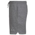 Air Jordan Sweat Shorts