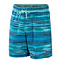 Blue Speedo Men's Redondo Edge 17" Swim Short