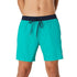 Speedo Men's Seaside Volley 17" Swim Short Teal