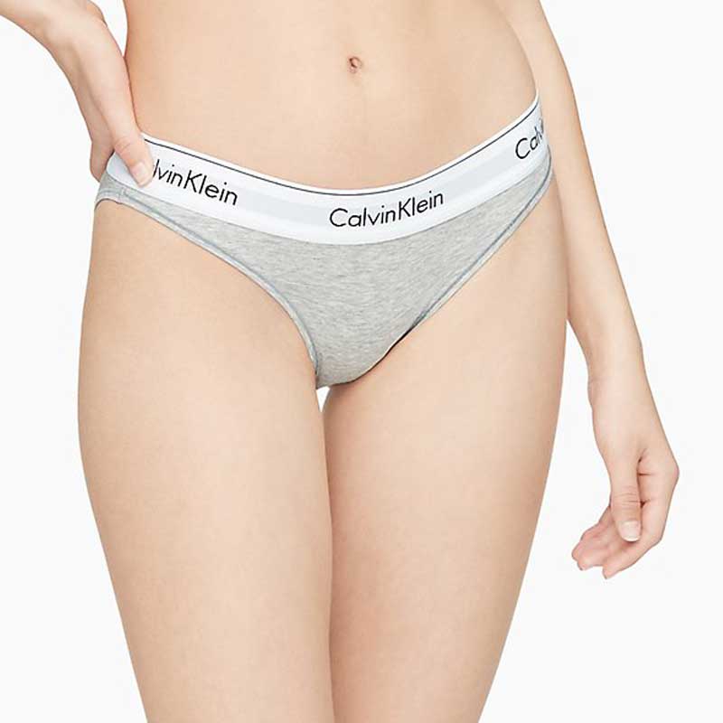 Calvin Klein Ladies Modern Cotton Bikini Underwear – Camp