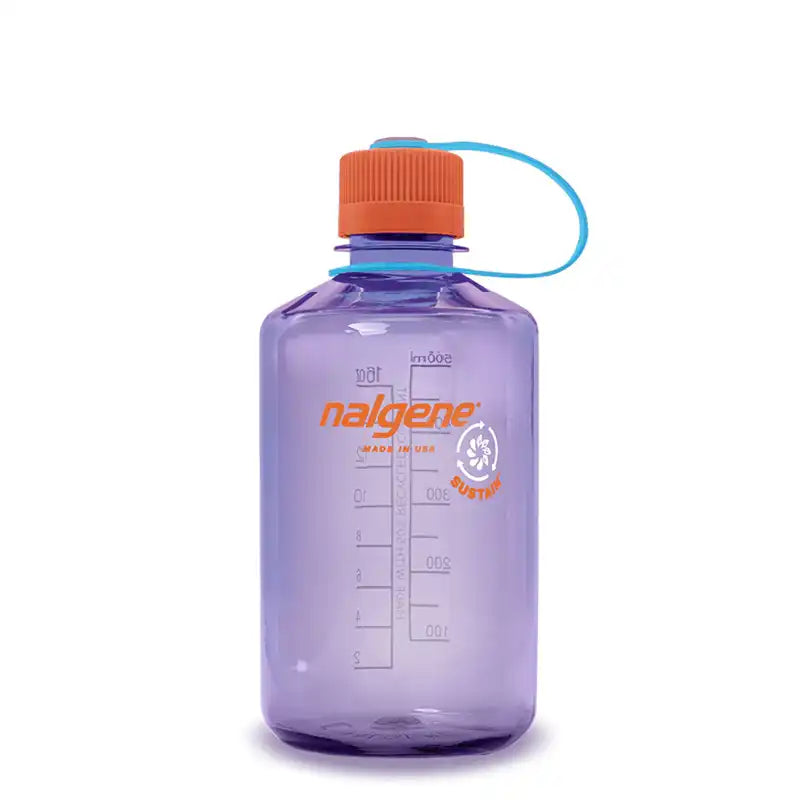 Nalgene Narrowmouth 16oz Bottle Amethyst