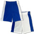 Youth Team 365 Zone Reversible Shorts Royal Blue