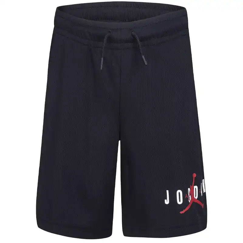 Air Jordan Mesh Gym Shorts