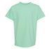 Comfort Colors Heavyweight Tee Shirt