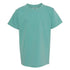 Comfort Colors Heavyweight Tee Shirt