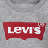 Levi's Batwing Logo
