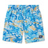 Speedo Boys Redondo Volley 15" Swim Short Blue Sharks
