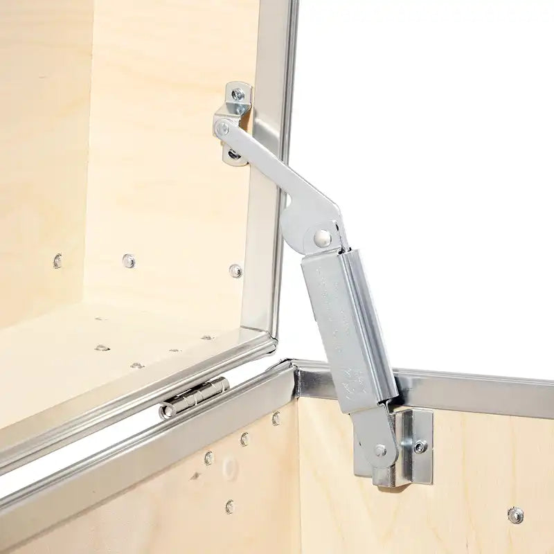 Rhino Trunks  - Custom Colours Preorder!