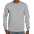 Men's Sport Grey LS Tee Shirt