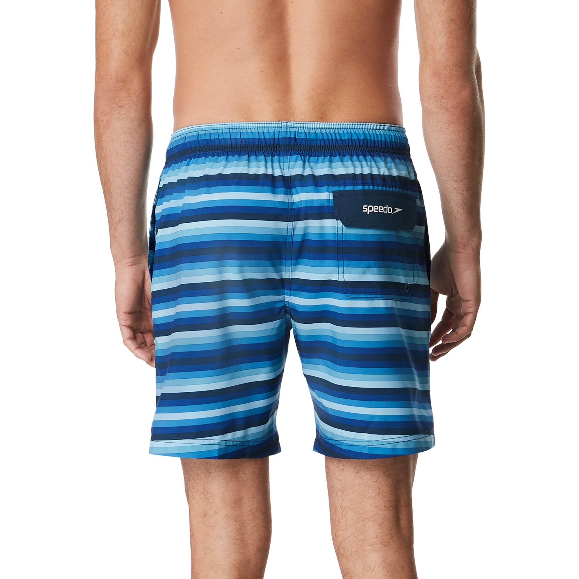 Speedo Blue Striped  Men's Swim Trunks