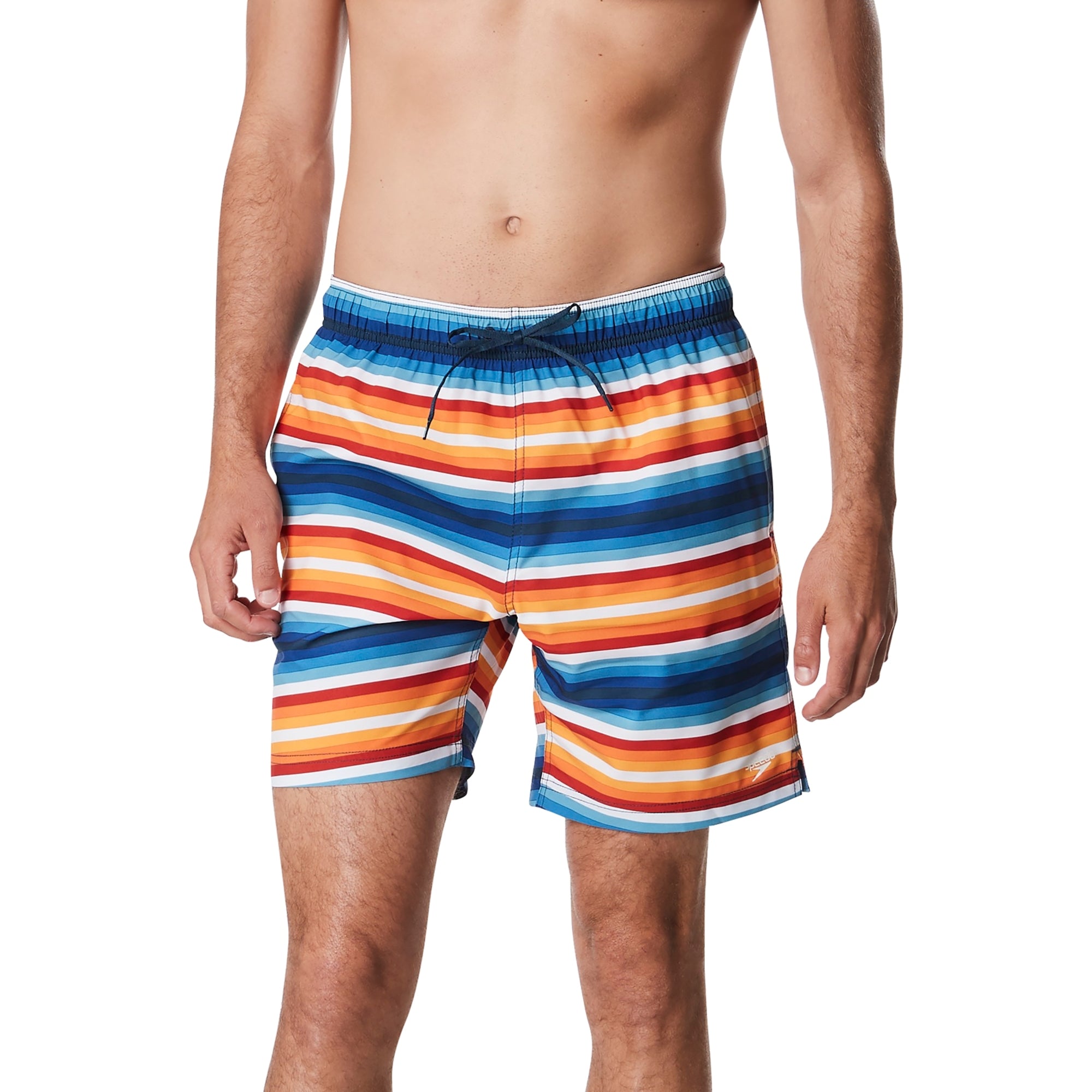 Speedo Bathing Suit Men's Stripes