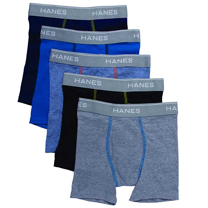 Hanes 6-Pack ComfortSoft Tagless Briefs Kingsway Mall, 55% OFF