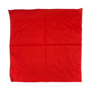 Kids in Camp Red Bandana