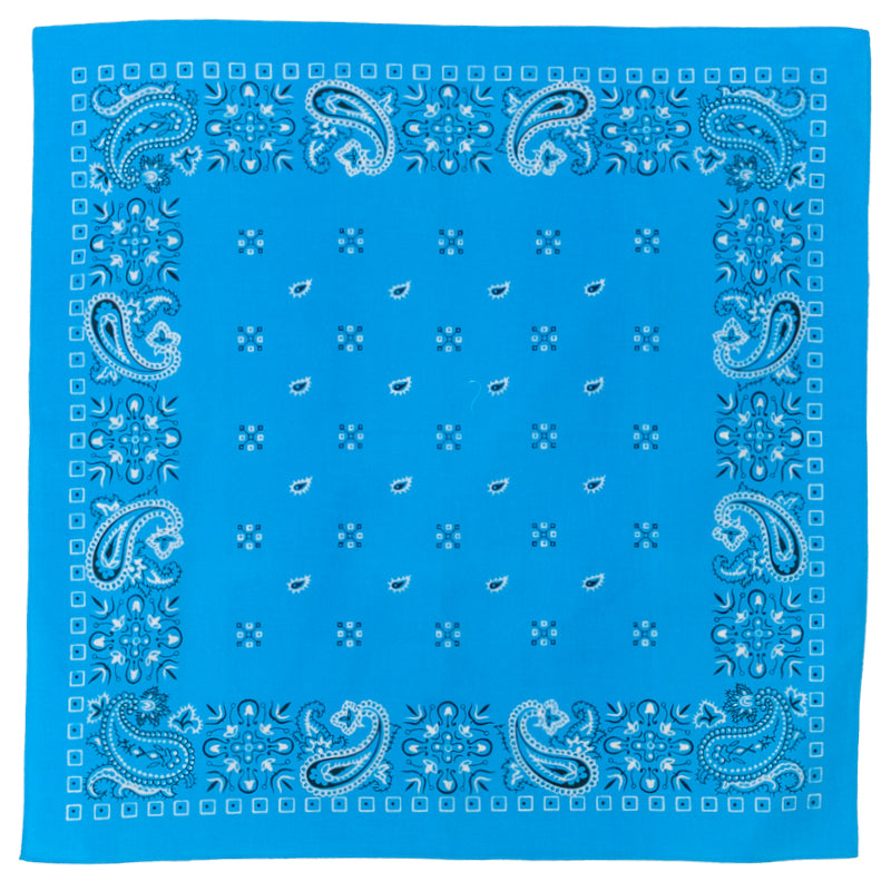 Sky Cotton Paisley Bandana