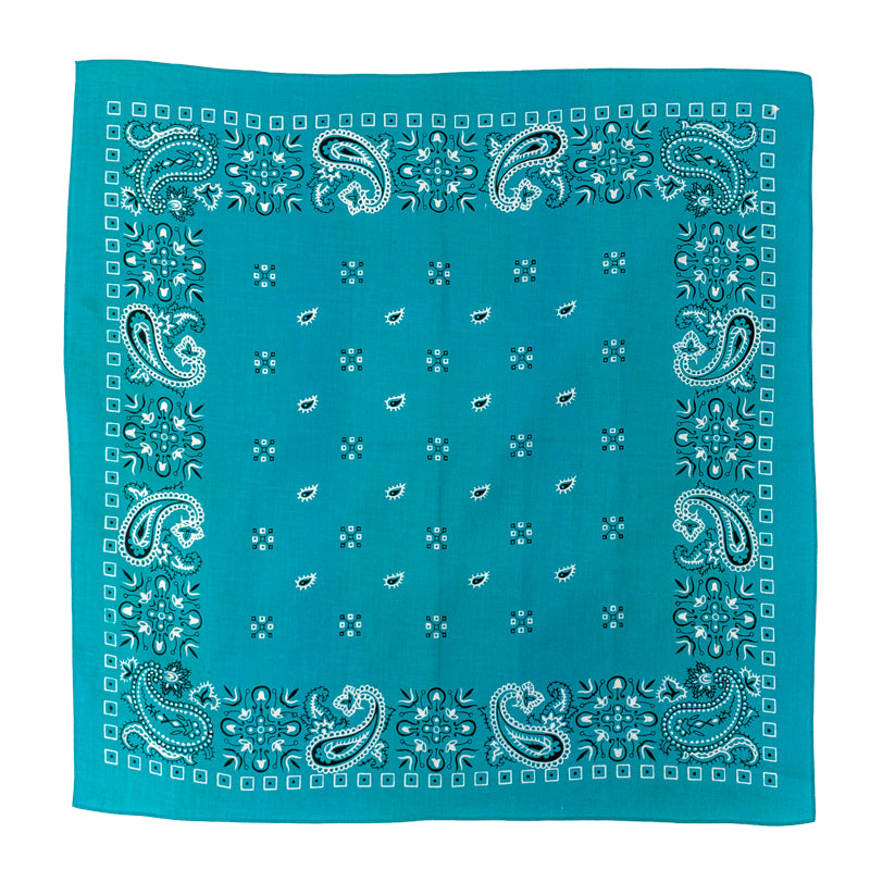 Turquoise Paisley Bandana