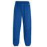 Blue Champion Kids sweat Pants